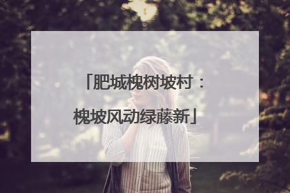 肥城槐树坡村：槐坡风动绿藤新