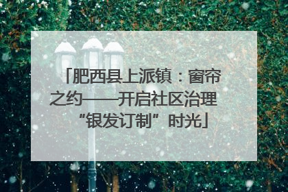 肥西县上派镇：窗帘之约——开启社区治理“银发订制”时光