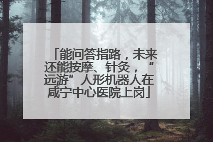能问答指路，未来还能按摩、针灸，“远游”人形机器人在咸宁中心医院上岗