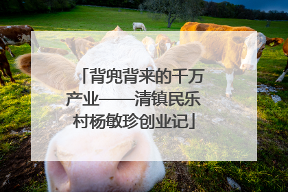 背兜背来的千万产业——清镇民乐村杨敏珍创业记