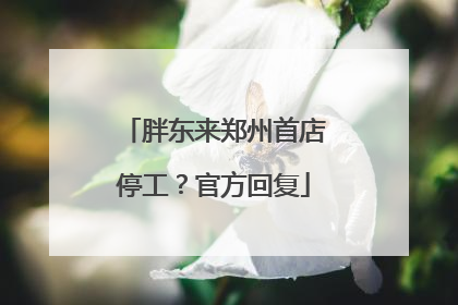胖东来郑州首店停工？官方回复