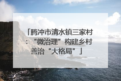 腾冲市清水镇三家村：“微治理”构建乡村善治“大格局”