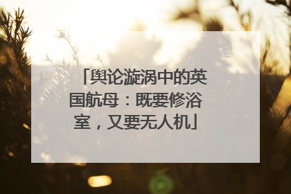 舆论漩涡中的英国航母：既要修浴室，又要无人机