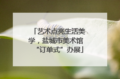 艺术点亮生活美学，盐城市美术馆“订单式”办展