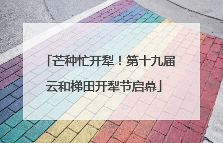 芒种忙开犁！第十九届云和梯田开犁节启幕