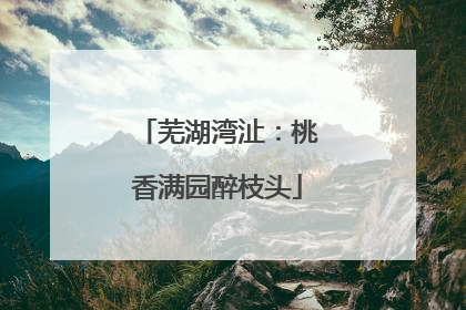 芜湖湾沚：桃香满园醉枝头