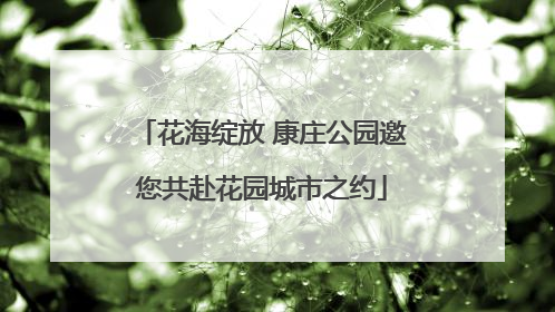 花海绽放 康庄公园邀您共赴花园城市之约