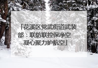 花溪区党武街道武装部：联防联控保净空 凝心聚力护航空