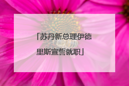 苏丹新总理伊德里斯宣誓就职