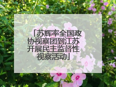 苏辉率全国政协视察团到江苏开展民主监督性视察活动