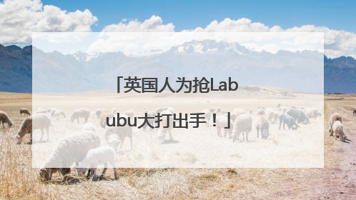 英国人为抢Labubu大打出手！
