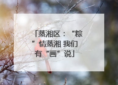 蒸湘区：“粽”情蒸湘 我们有“画”说