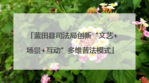 蓝田县司法局创新“文艺+场景+互动”多维普法模式