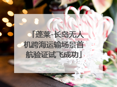 蓬莱-长岛无人机跨海运输场景首航验证试飞成功
