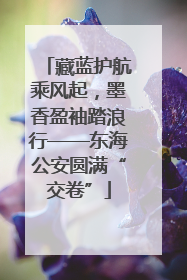 藏蓝护航乘风起，墨香盈袖踏浪行——东海公安圆满“交卷”