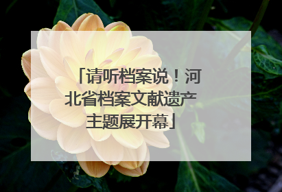 请听档案说！河北省档案文献遗产主题展开幕