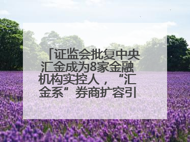 证监会批复中央汇金成为8家金融机构实控人，“汇金系”券商扩容引合并遐想