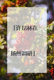 许昆林在扬州调研
