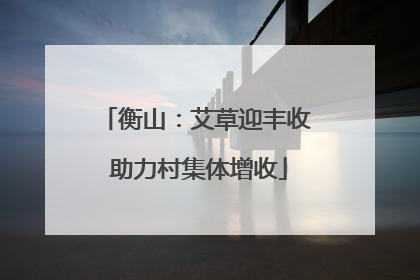 衡山：艾草迎丰收 助力村集体增收