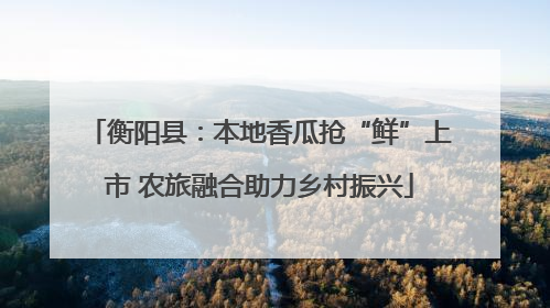 衡阳县：本地香瓜抢“鲜”上市 农旅融合助力乡村振兴