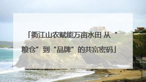 衢江山农赋能万亩水田 从“粮仓”到“品牌”的共富密码