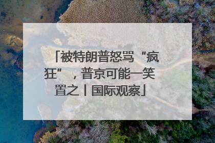 被特朗普怒骂“疯狂”，普京可能一笑置之丨国际观察