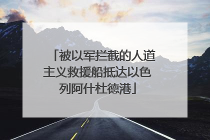 被以军拦截的人道主义救援船抵达以色列阿什杜德港