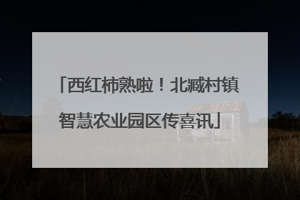 西红柿熟啦！北臧村镇智慧农业园区传喜讯