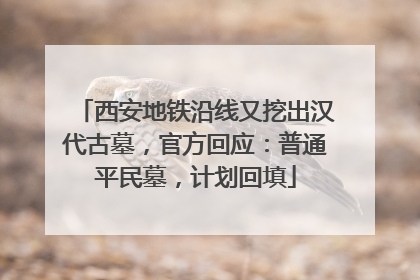 西安地铁沿线又挖出汉代古墓，官方回应：普通平民墓，计划回填