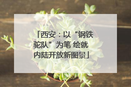 西安：以“钢铁驼队”为笔 绘就内陆开放新图景