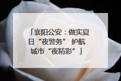 襄阳公安：做实夏日“夜警务” 护航城市“夜精彩”