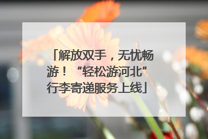 解放双手，无忧畅游！“轻松游河北”行李寄递服务上线