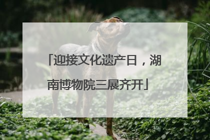 迎接文化遗产日，湖南博物院三展齐开