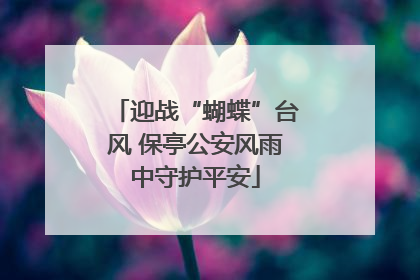 迎战“蝴蝶”台风 保亭公安风雨中守护平安