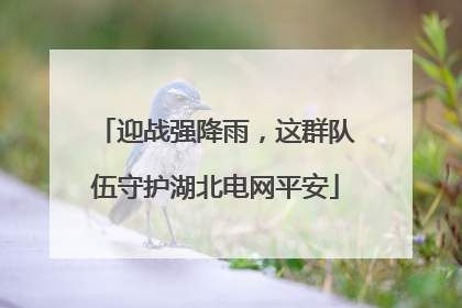 迎战强降雨，这群队伍守护湖北电网平安