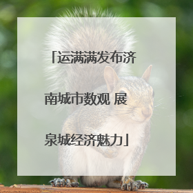 运满满发布济南城市数观 展泉城经济魅力
