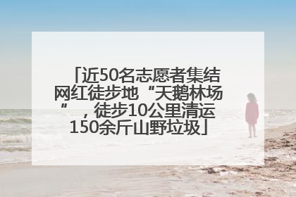 近50名志愿者集结网红徒步地“天鹅林场”，徒步10公里清运150余斤山野垃圾