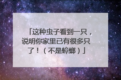 这种虫子看到一只，说明你家里已有很多只了！（不是蟑螂）