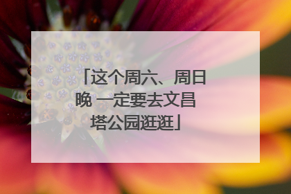 这个周六、周日晚 一定要去文昌塔公园逛逛