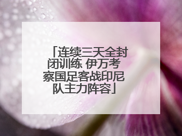连续三天全封闭训练 伊万考察国足客战印尼队主力阵容