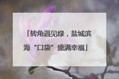 转角遇见绿，盐城滨海“口袋”盛满幸福