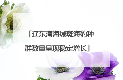 辽东湾海域斑海豹种群数量呈现稳定增长