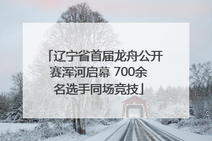 辽宁省首届龙舟公开赛浑河启幕 700余名选手同场竞技