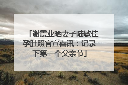 谢震业晒妻子陆敏佳孕肚照官宣喜讯：记录下第一个父亲节