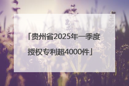 贵州省2025年一季度授权专利超4000件