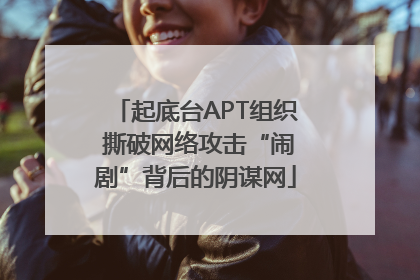起底台APT组织 撕破网络攻击“闹剧”背后的阴谋网