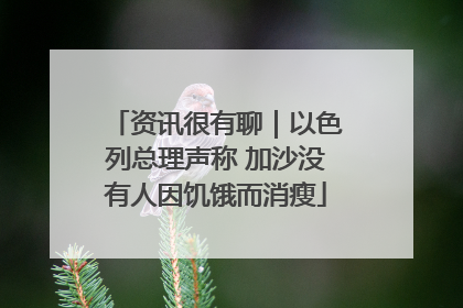 资讯很有聊｜以色列总理声称 加沙没有人因饥饿而消瘦