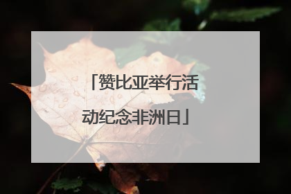 赞比亚举行活动纪念非洲日