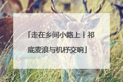 走在乡间小路上丨祁底麦浪与机杼交响