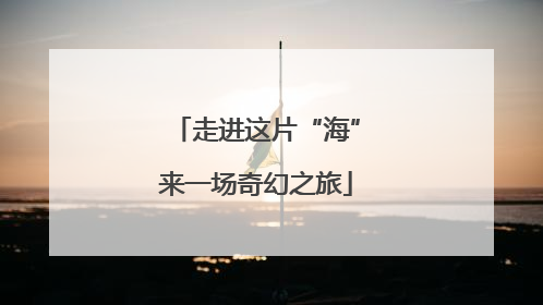 走进这片“海”来一场奇幻之旅